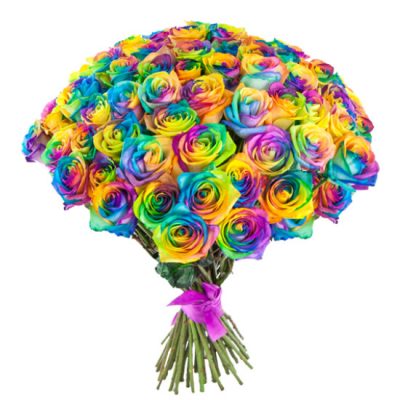 Розы Эквадор радужные